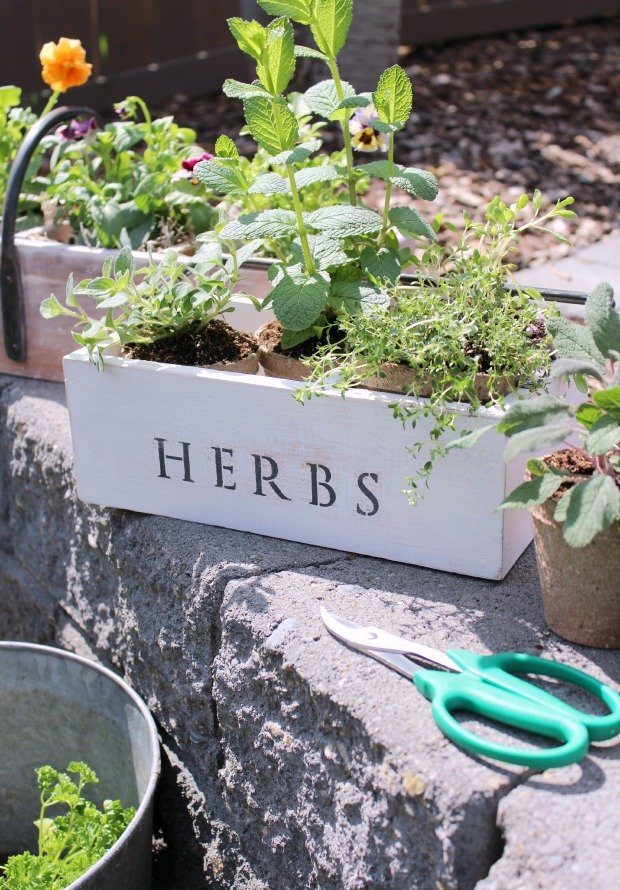herb planters 