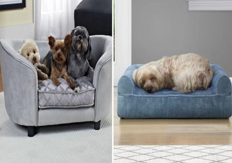 Wayfair Dog Beds on Sale