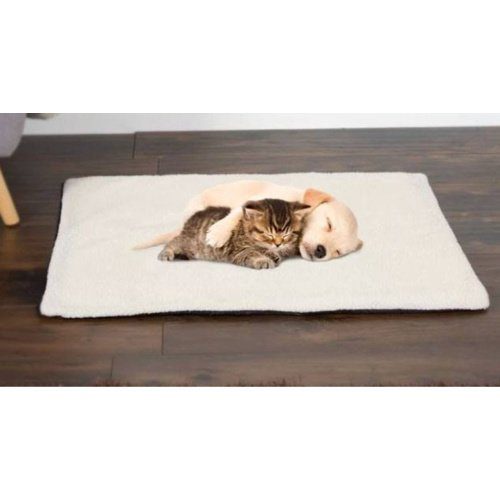 Wayfair Dog Beds on Sale