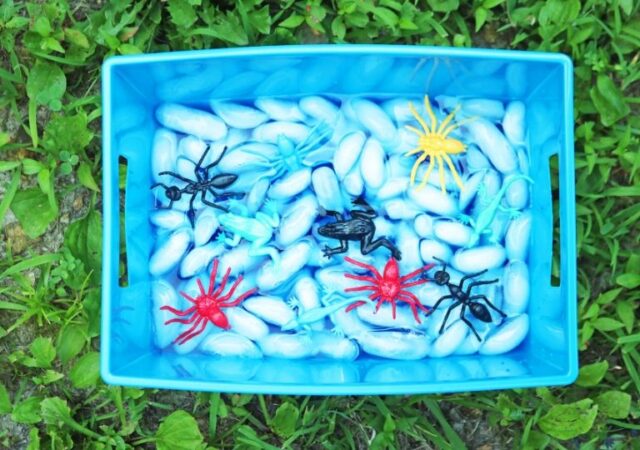 outdoor sensory activities