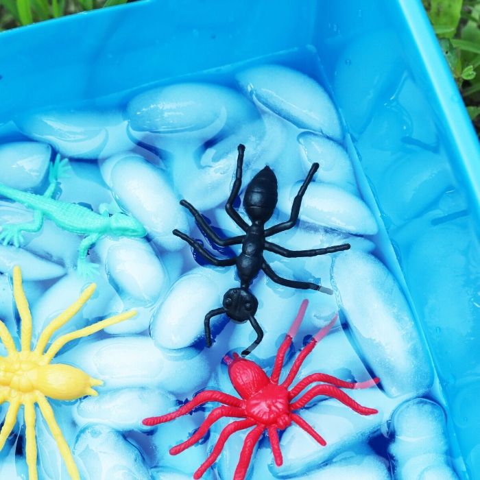 summer sensory bin