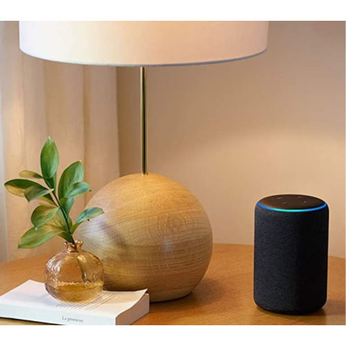 Amazon Echo Plus on Sale (1)