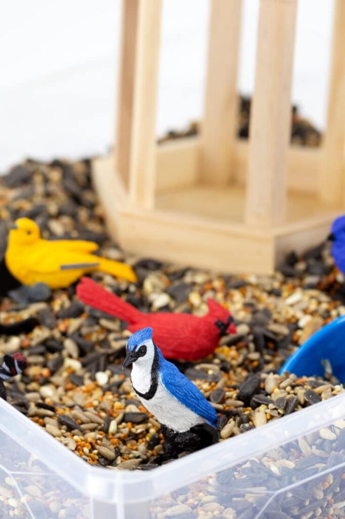 bird sensory bin