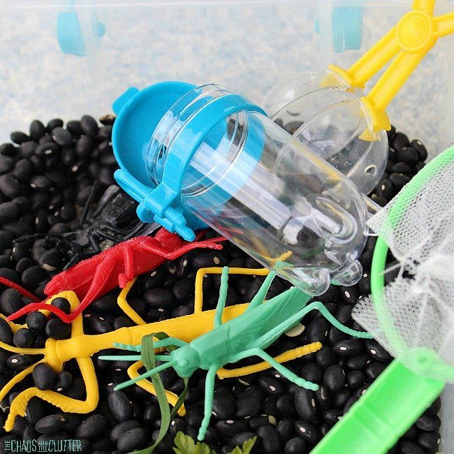 bug sensory bin