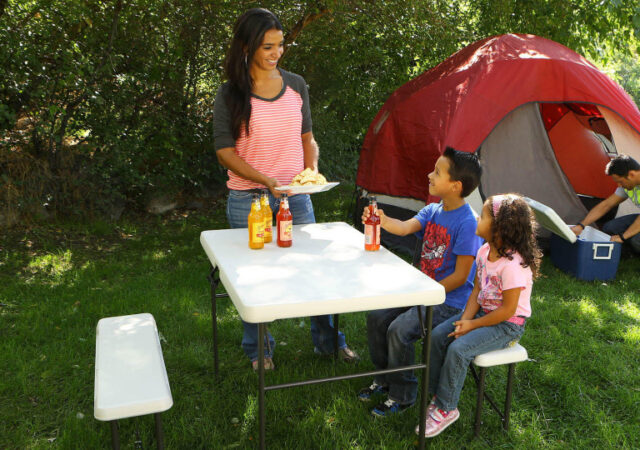 Folding Picnic Table on Sale - Lifetime Table and Bench