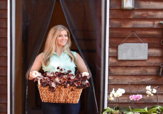 Magnetic Screen Door on Sale