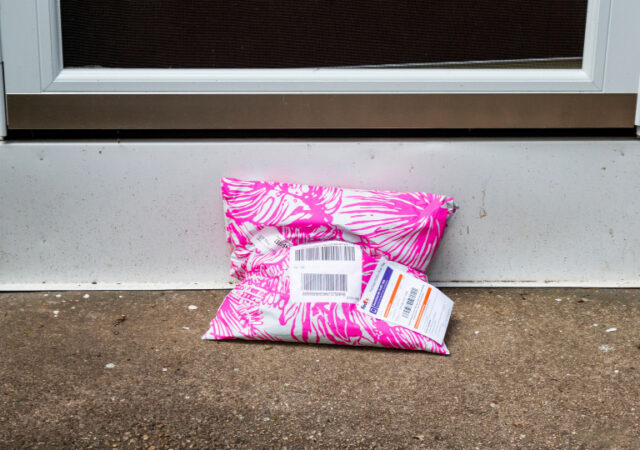 Stores With Free Shipping - Pink Package at Door