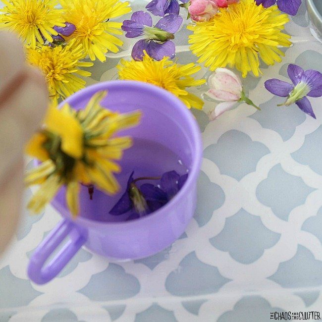 flowers and plants in water 