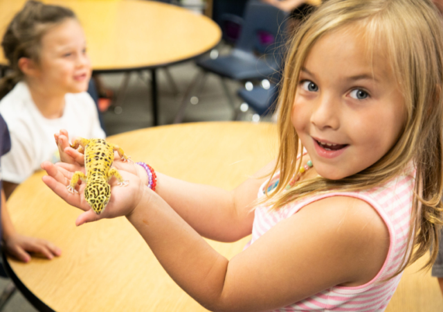 Free Classroom Pet for Teachers
