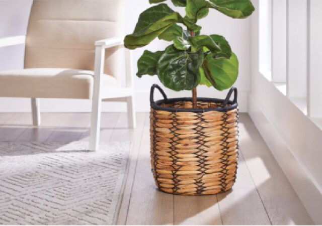 Basket Planter on sale