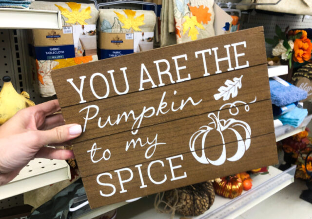 Big Lots Fall Decorations