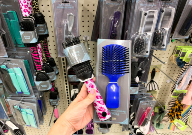 Dollar Tree Brushes