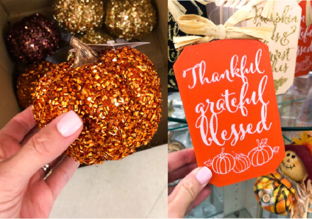 Dollar Tree Fall Finds