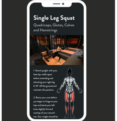 Free Workout Apps - fitbod app