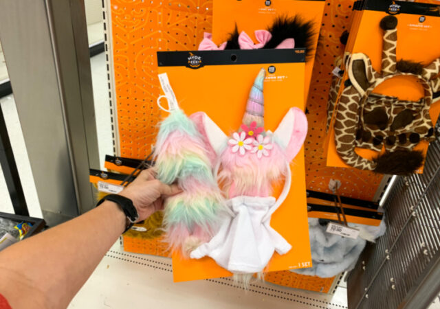 Halloween Accessories