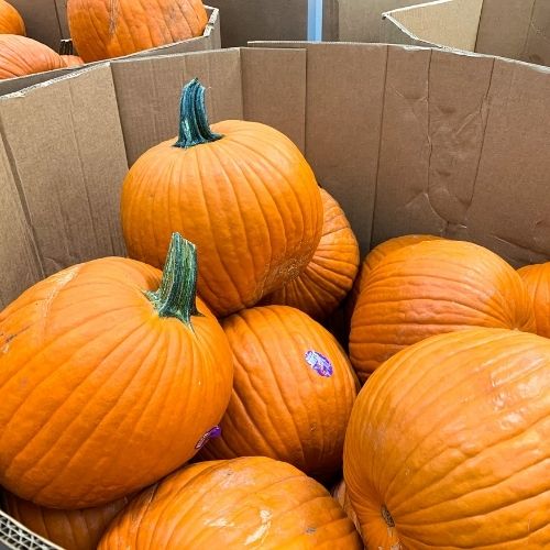 Halloween deals