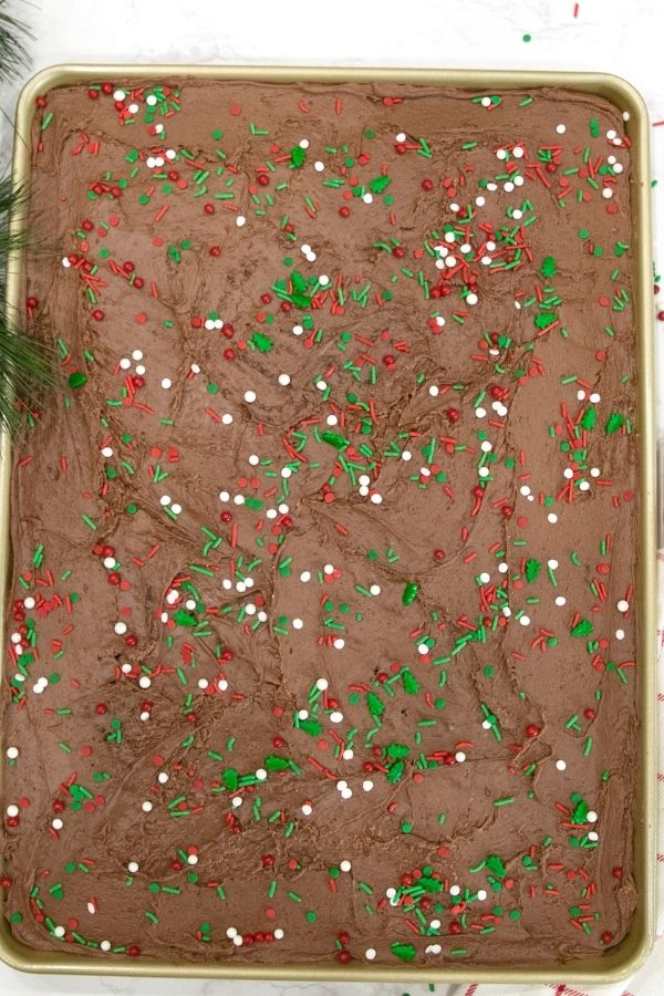 holiday cake with sprinkles 