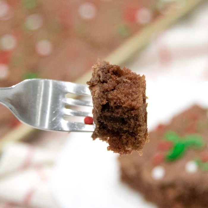 moist chocolate cake