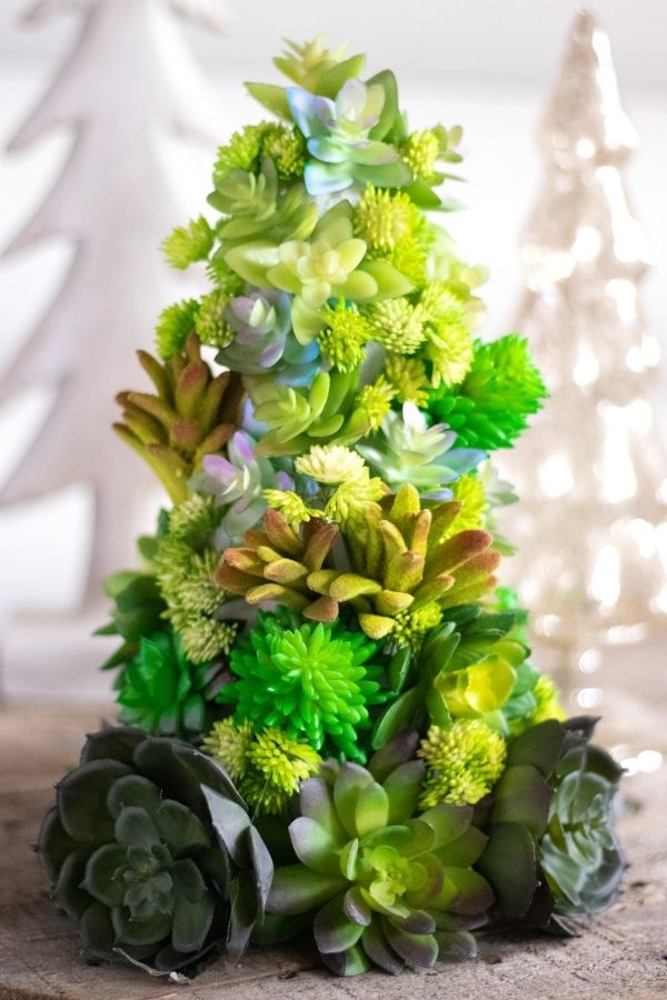 easy succulent craft