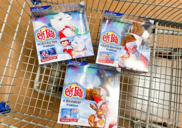 How to Get Started With Elf Pets