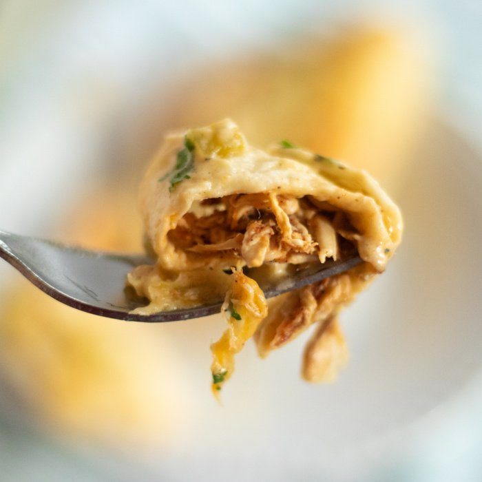 low carb tortilla chicken enchiladas