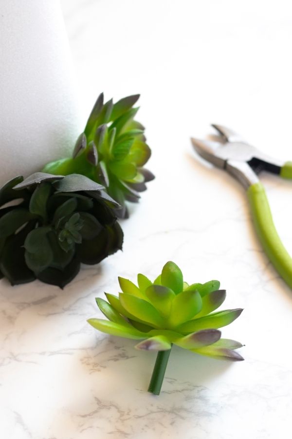 crafting to make a cone succulent 