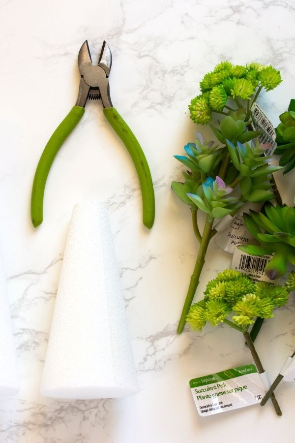 succulent craft supplies to make succulent tree