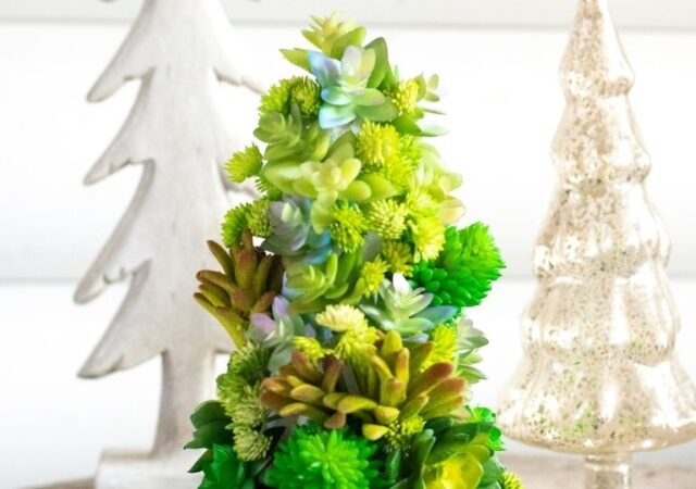 succulent tree on table