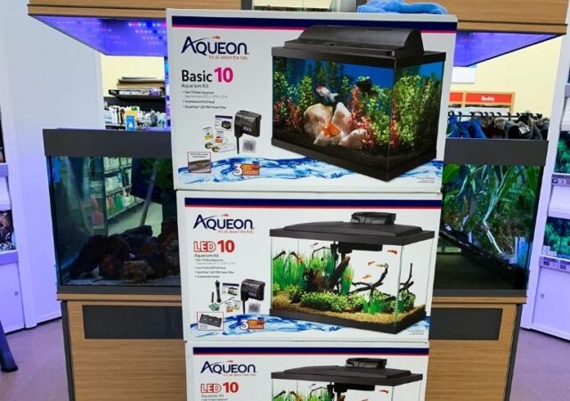 Aquariums on Sale
