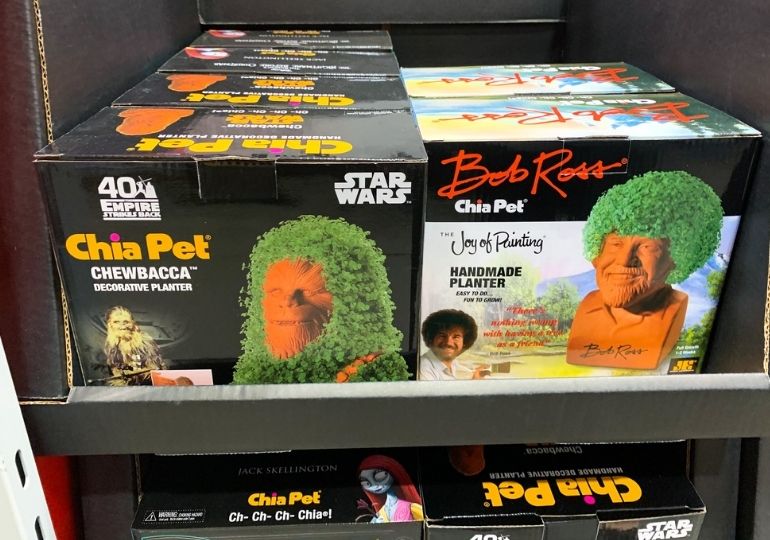 i grew a Bob Ross chia pet so you don't have too 