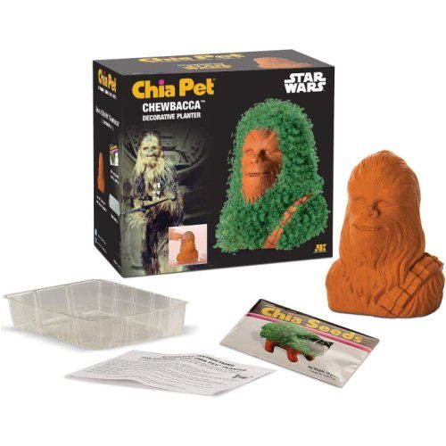 Star Wars Chia Pet