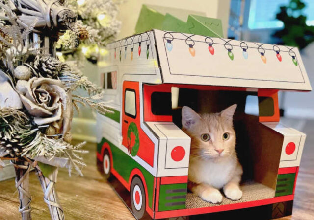 Wondershop RV Cat Scratcher House (2)