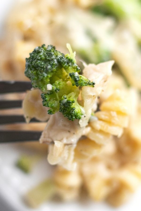 fork with chicken, pasta, and broccoli