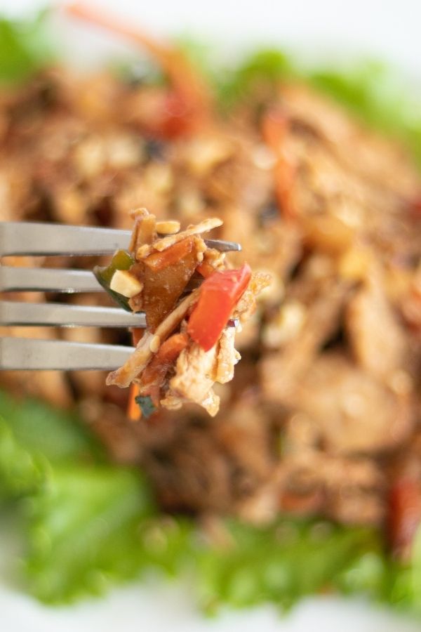 fork with teriyaki seasoning 