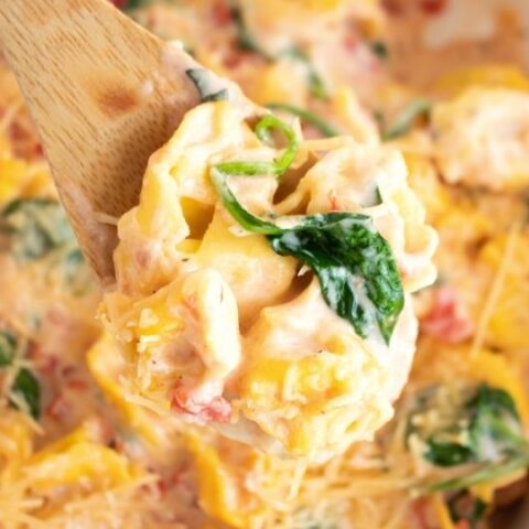tortellini pasta on wooden spoon
