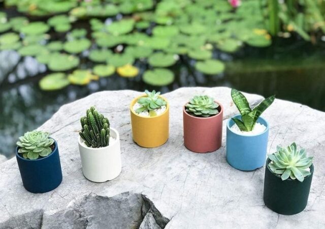 Ceramic Succulent Pots on Sale