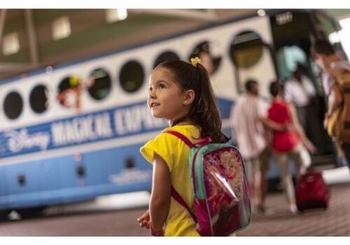 Disney Magical Express Service