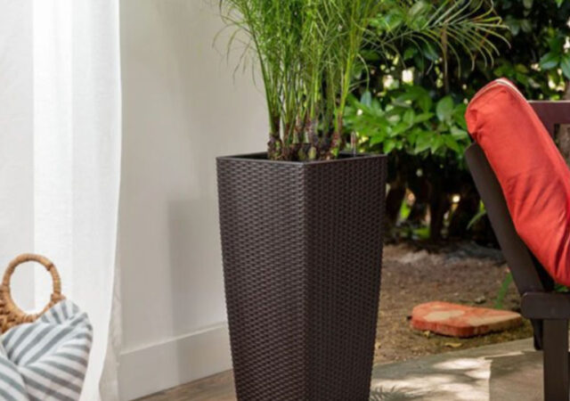 Self Watering Planter