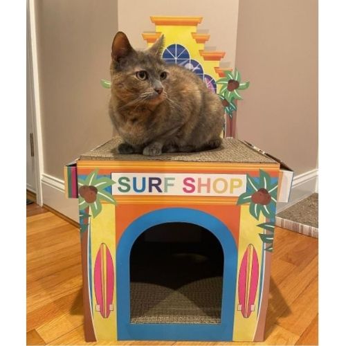 Target Pet Toys on Sale