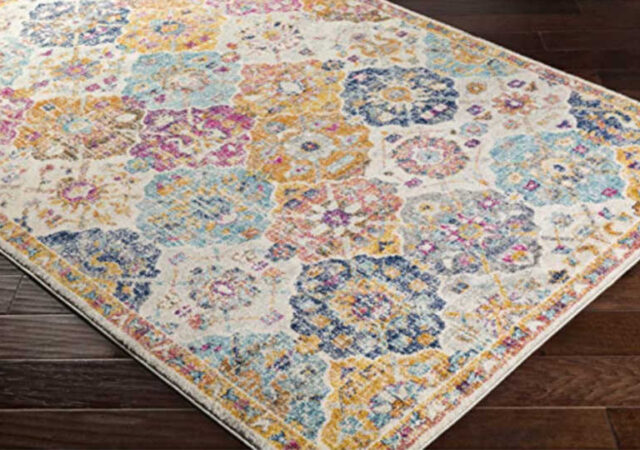 5 x 7 Area Rugs On Sale