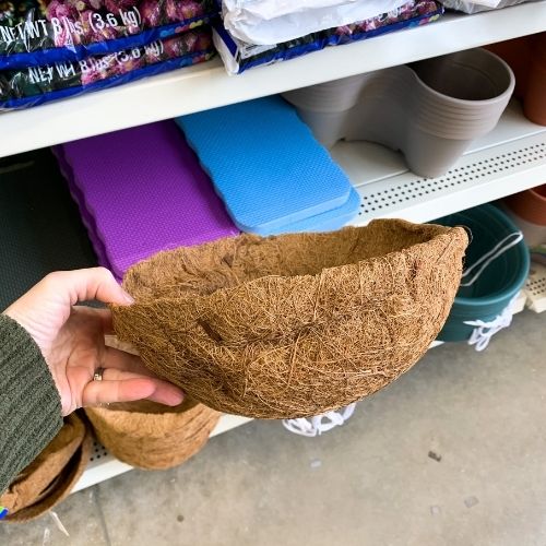 Dollar Tree Gardening