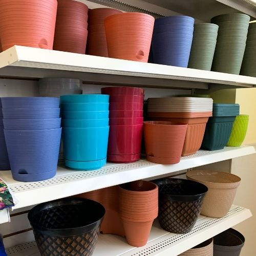 Dollar Tree Gardening