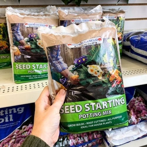 Dollar Tree Gardening