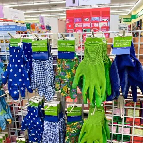 Dollar Tree Gardening