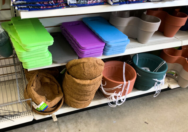 Dollar Tree Gardening Supplies