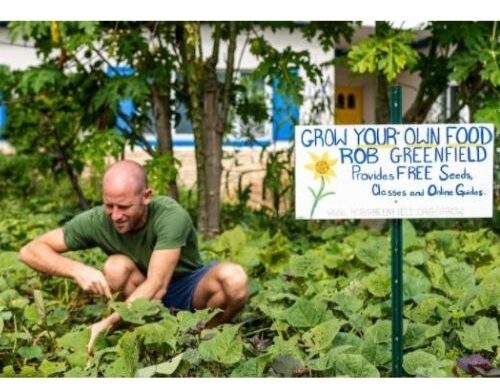 Free Vegetable Seeds