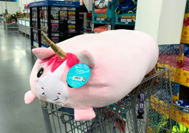 Member's Mark Jumbo Squishy Pillow