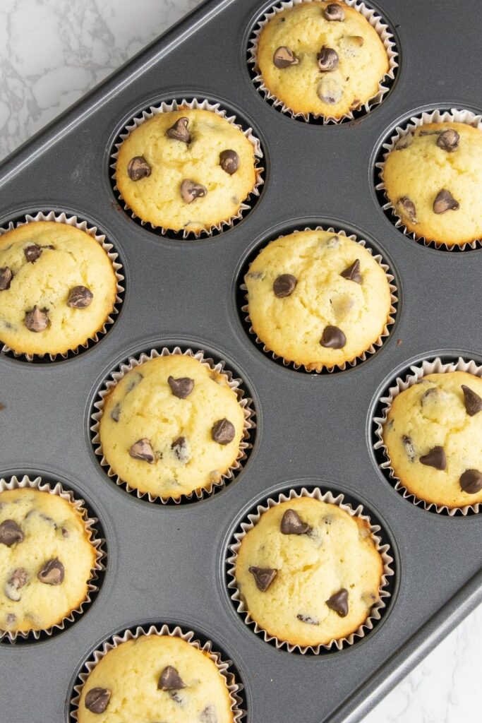 chocolate chip muffins in muffin tin 
