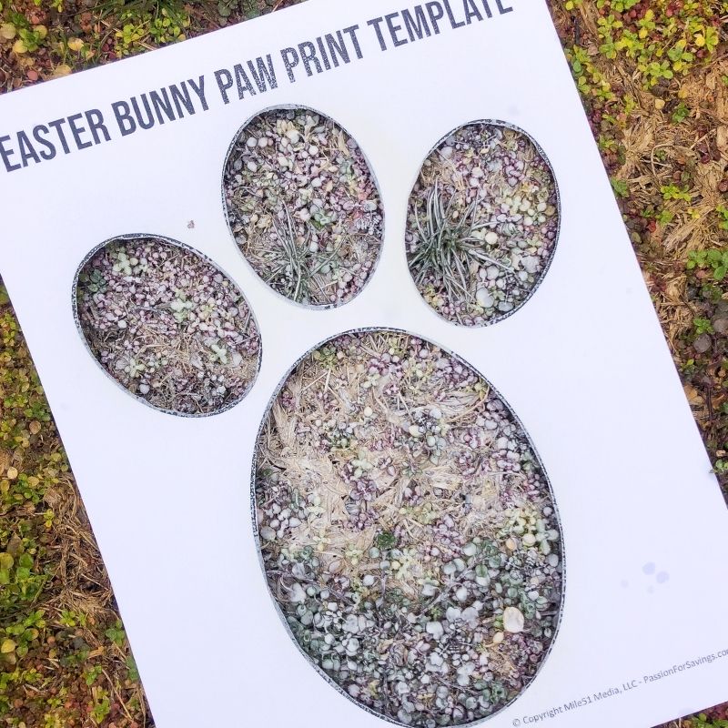 Easter Bunny Paw Print Template Passion For Savings