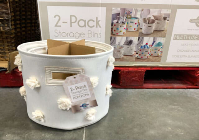 Decorative Storage Bins